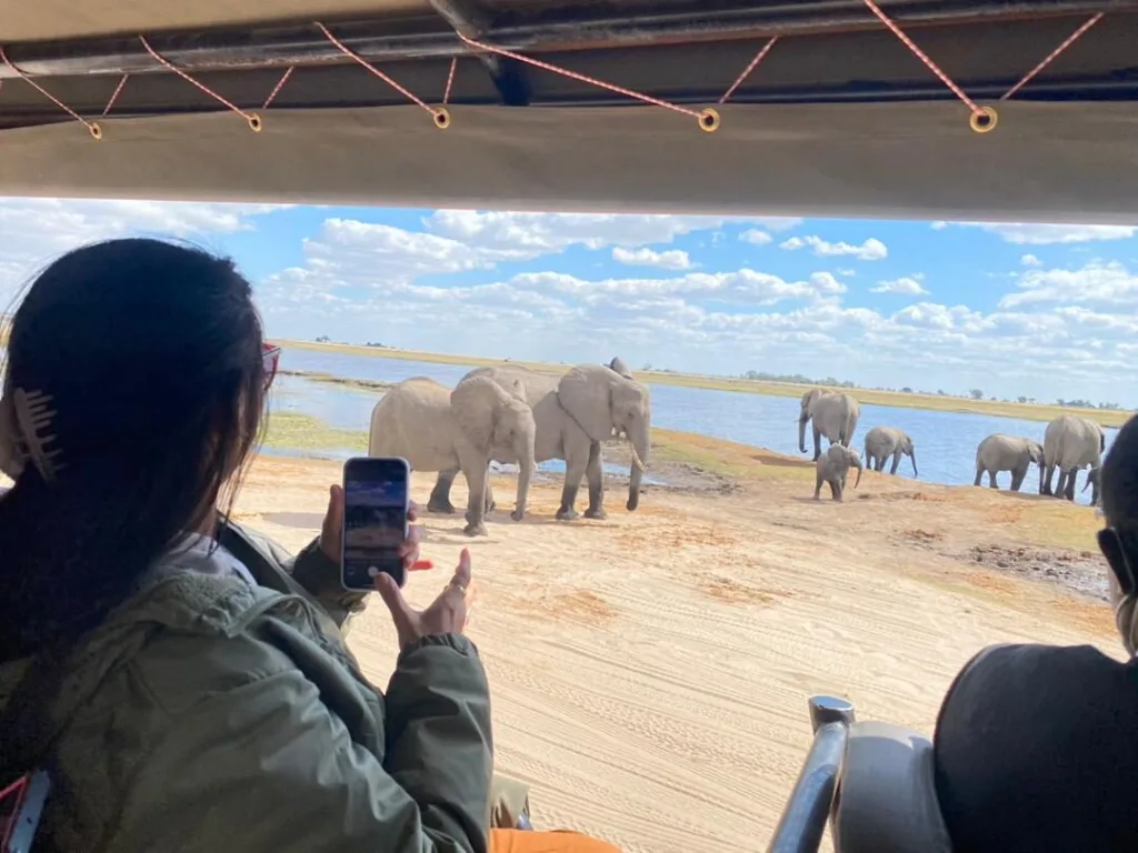 Chobe Safari Day Trip — POTUS Rentals & Tours