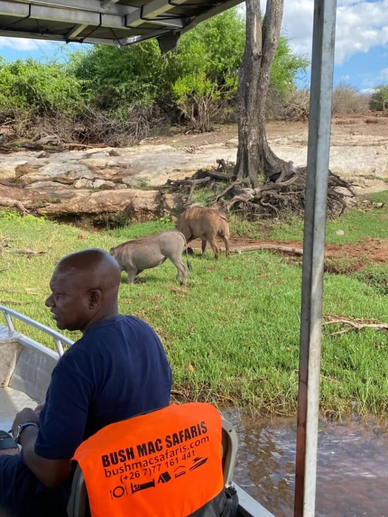 Chobe Safari Day Trip — POTUS Rentals & Tours