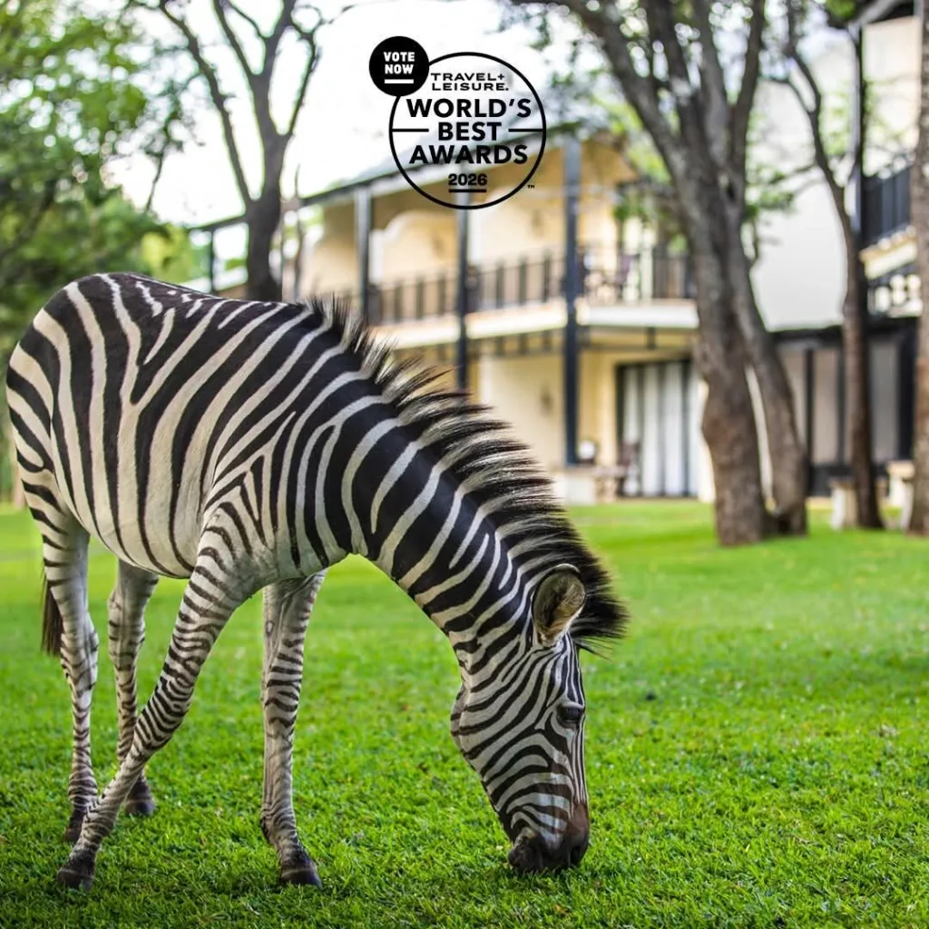 Lion King Sunset Cruise — POTUS Rentals & Tours