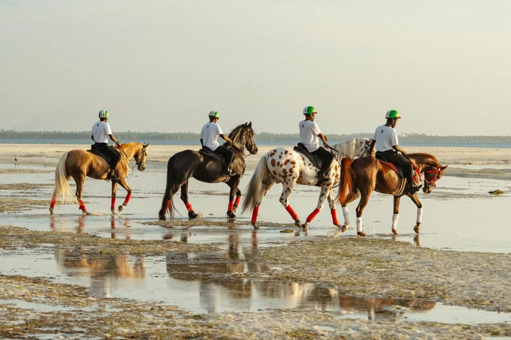 Zambezi Horse Ride