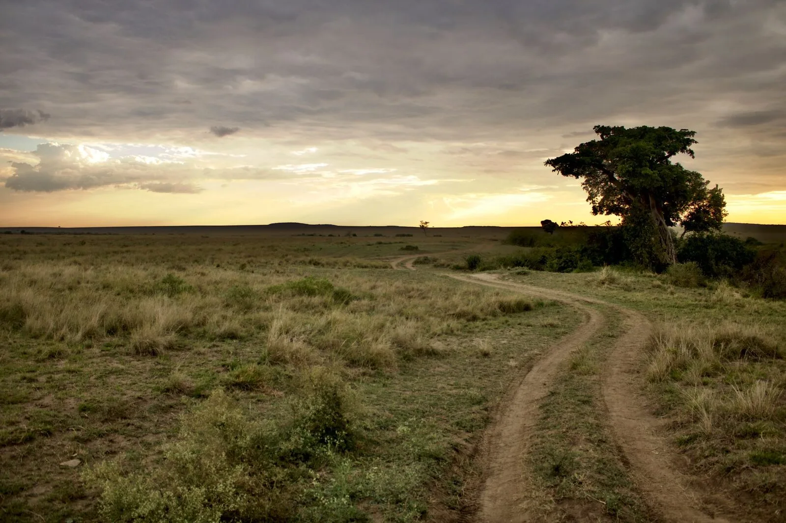 Livingstone Signature — 3 Nights — POTUS Rentals & Tours